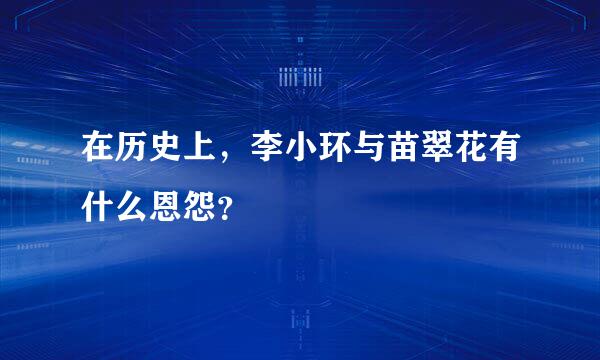 在历史上，李小环与苗翠花有什么恩怨？