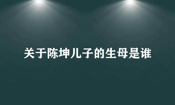 关于陈坤儿子的生母是谁