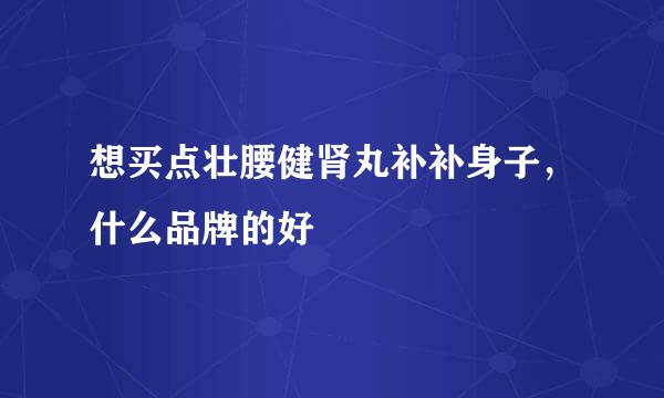 想买点壮腰健肾丸补补身子，什么品牌的好