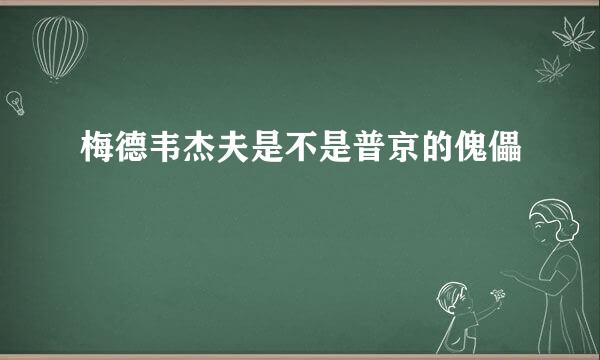 梅德韦杰夫是不是普京的傀儡