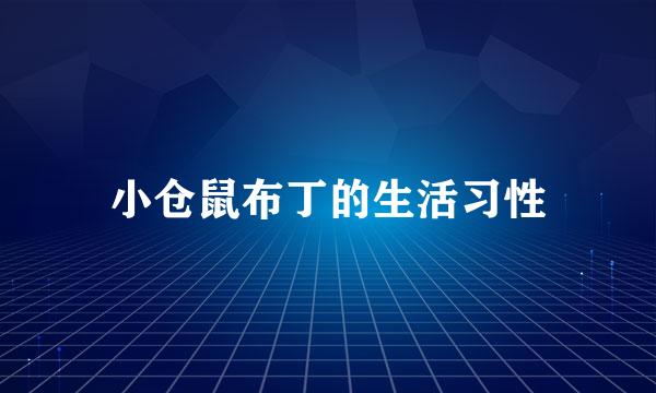 小仓鼠布丁的生活习性