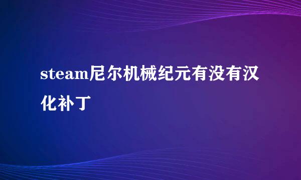 steam尼尔机械纪元有没有汉化补丁