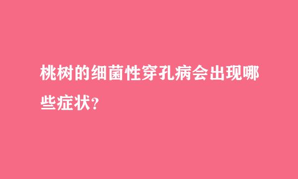 桃树的细菌性穿孔病会出现哪些症状？