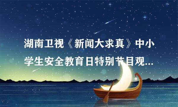 湖南卫视《新闻大求真》中小学生安全教育日特别节目观后感400字