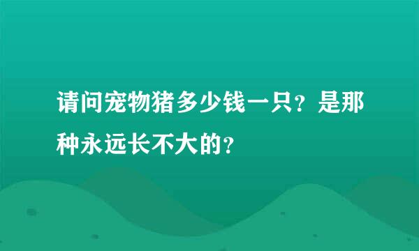 请问宠物猪多少钱一只？是那种永远长不大的？