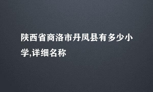 陕西省商洛市丹凤县有多少小学,详细名称