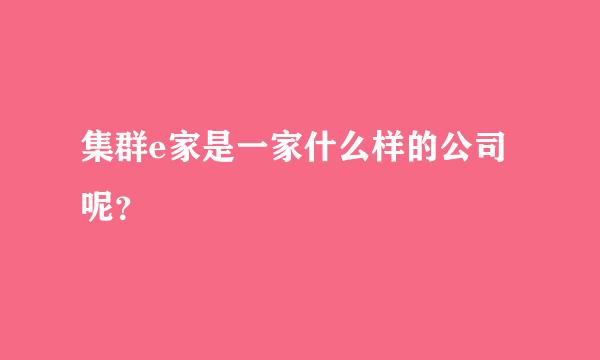 集群e家是一家什么样的公司呢？