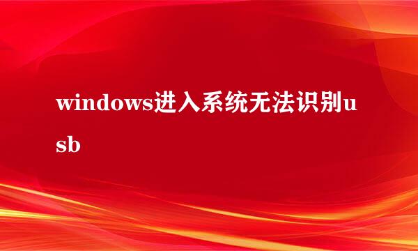 windows进入系统无法识别usb