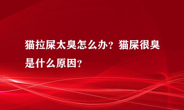 猫拉屎太臭怎么办？猫屎很臭是什么原因？