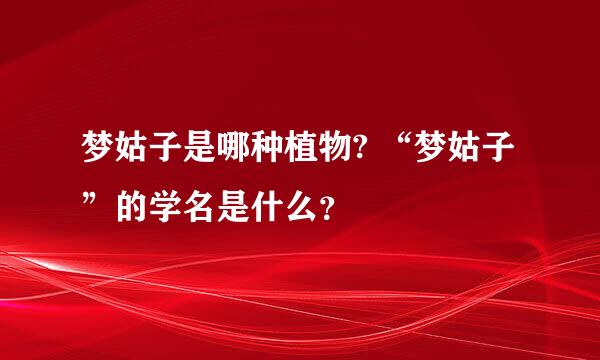 梦姑子是哪种植物? “梦姑子”的学名是什么？