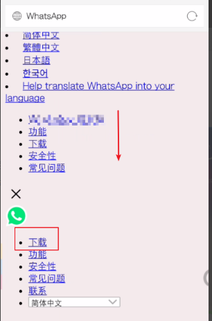 安卓手机怎样下载WhatsApp