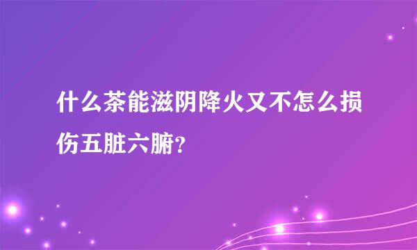 什么茶能滋阴降火又不怎么损伤五脏六腑？