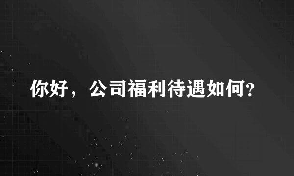 你好，公司福利待遇如何？