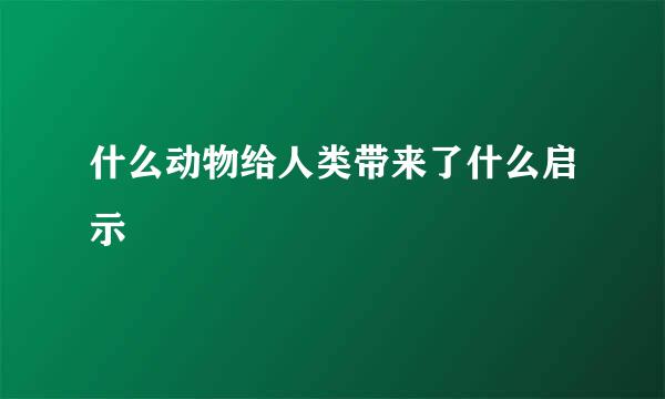 什么动物给人类带来了什么启示