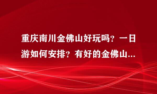 重庆南川金佛山好玩吗？一日游如何安排？有好的金佛山旅游攻略吗