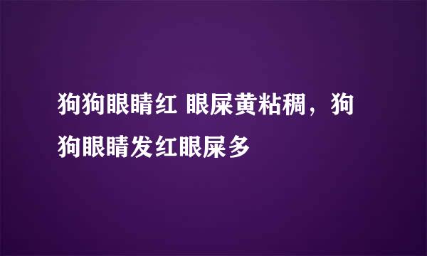 狗狗眼睛红 眼屎黄粘稠，狗狗眼睛发红眼屎多