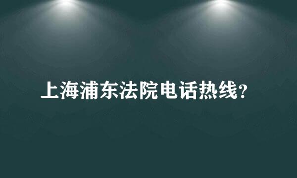 上海浦东法院电话热线？