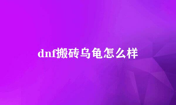 dnf搬砖乌龟怎么样