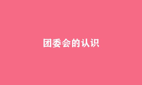 团委会的认识