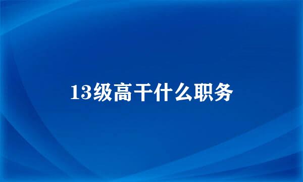 13级高干什么职务