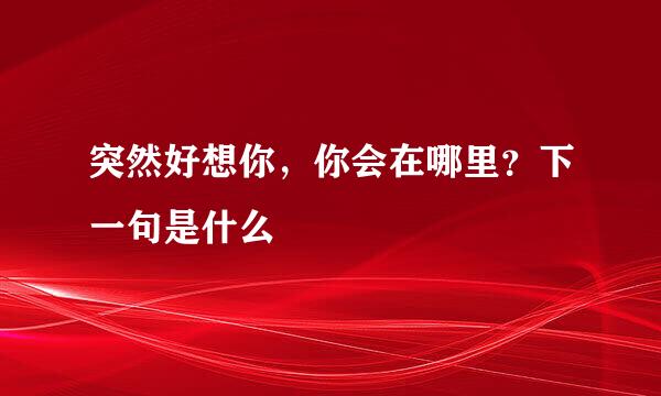 突然好想你，你会在哪里？下一句是什么