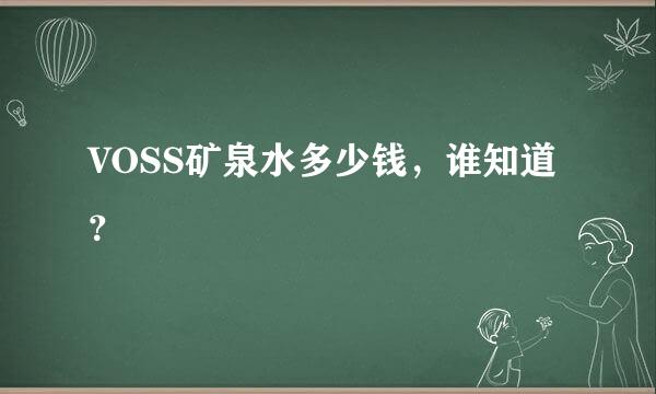 VOSS矿泉水多少钱，谁知道？