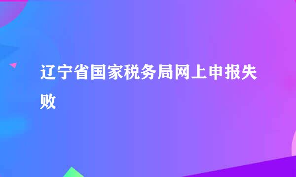 辽宁省国家税务局网上申报失败