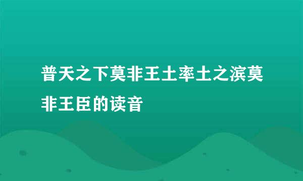 普天之下莫非王土率土之滨莫非王臣的读音