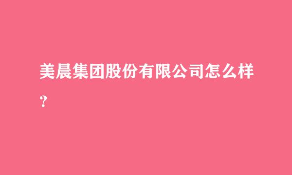 美晨集团股份有限公司怎么样？