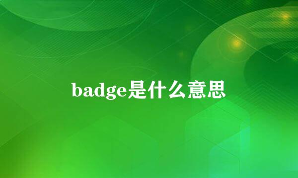 badge是什么意思