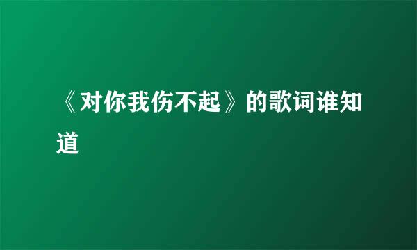 《对你我伤不起》的歌词谁知道