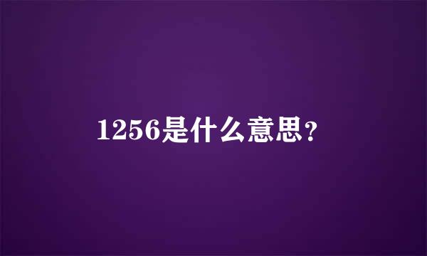 1256是什么意思？