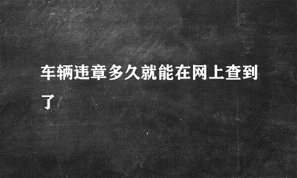 车辆违章多久就能在网上查到了