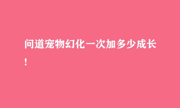 问道宠物幻化一次加多少成长!