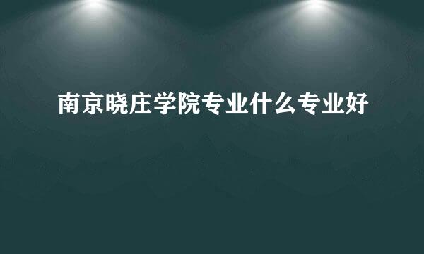 南京晓庄学院专业什么专业好