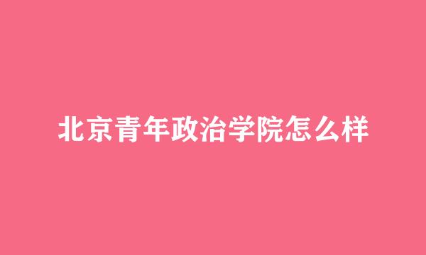 北京青年政治学院怎么样