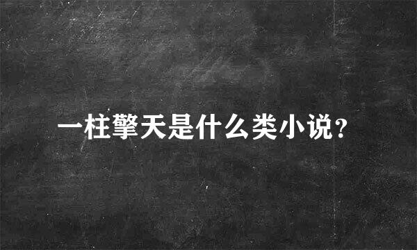 一柱擎天是什么类小说？