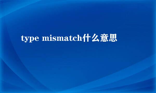 type mismatch什么意思