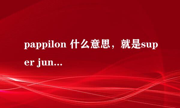 pappilon 什么意思，就是super junior六辑的歌名，是什么意思