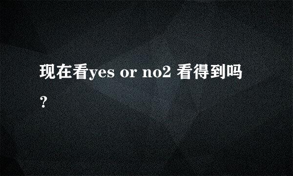 现在看yes or no2 看得到吗？