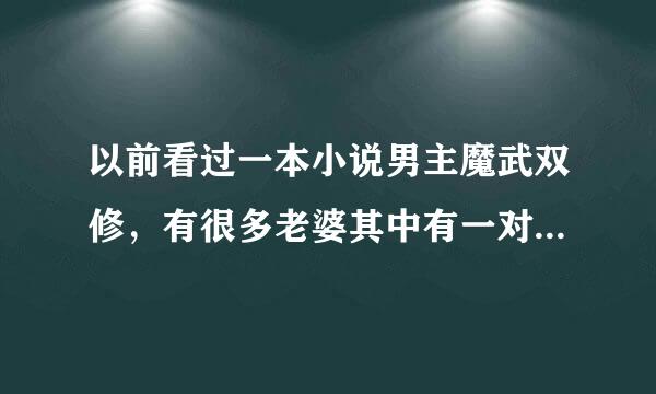 以前看过一本小说男主魔武双修，有很多老婆其中有一对是双胞胎，有好几个师傅，内容比较黄，求书名