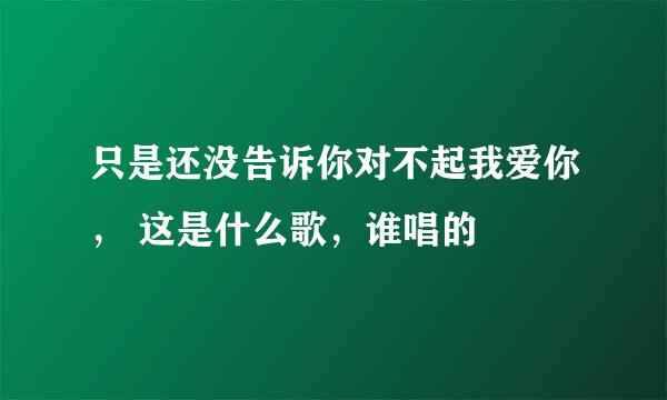 只是还没告诉你对不起我爱你， 这是什么歌，谁唱的