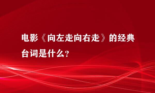 电影《向左走向右走》的经典台词是什么？