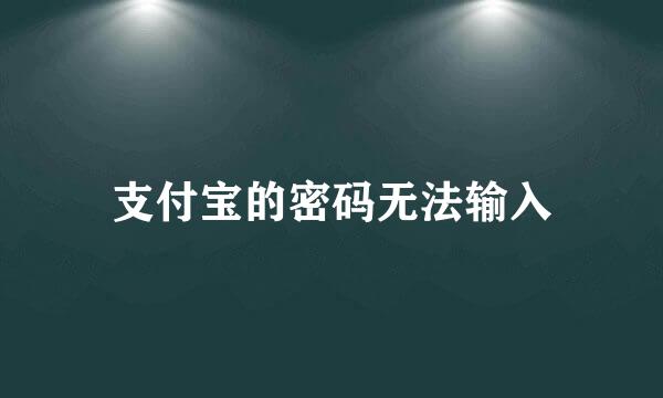 支付宝的密码无法输入