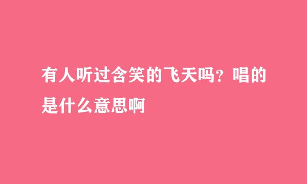 有人听过含笑的飞天吗？唱的是什么意思啊