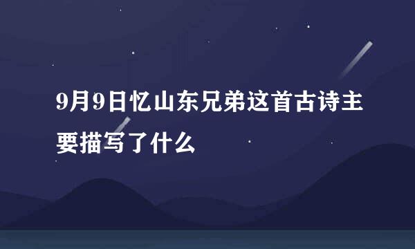 9月9日忆山东兄弟这首古诗主要描写了什么