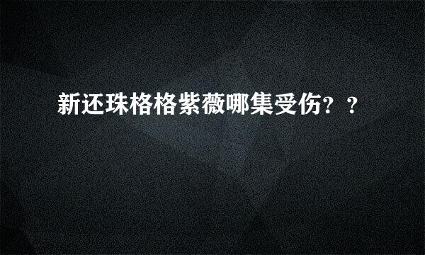 新还珠格格紫薇哪集受伤？？