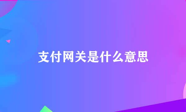 支付网关是什么意思