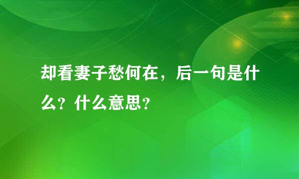 却看妻子愁何在，后一句是什么？什么意思？