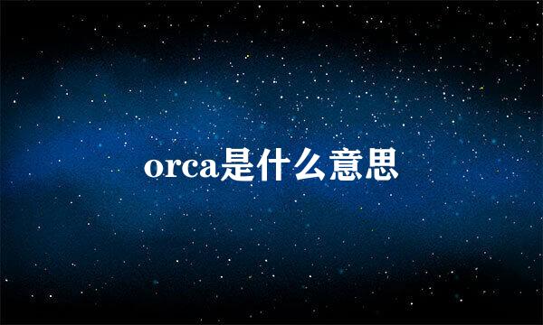 orca是什么意思